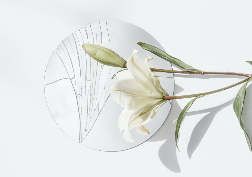 Close-up of a delicate white lily flower symbolizing reflection and growth.