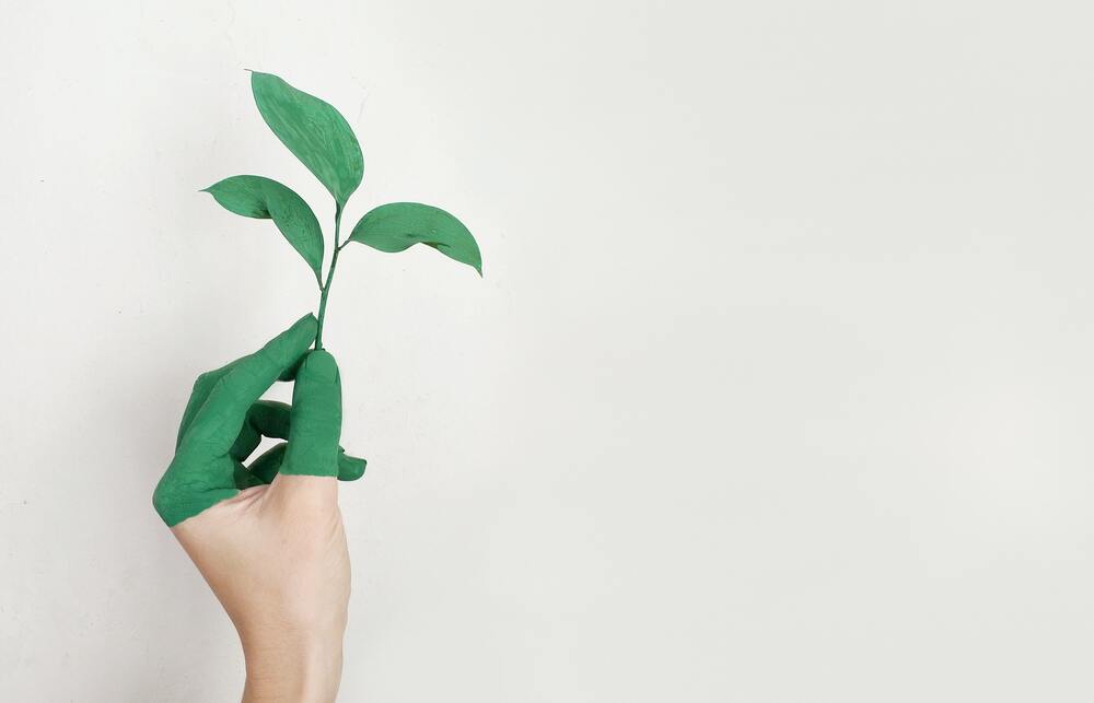 A hand holding a leaf painted green, symbolizing growth, renewal, and a fresh perspective on relationships compared to outdated “ball and chain” beliefs.