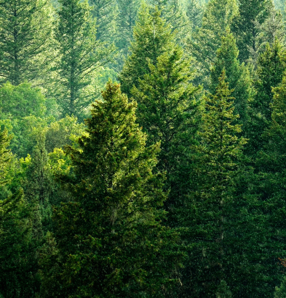 Climate: Advancing net zero and innovating for energy efficiency