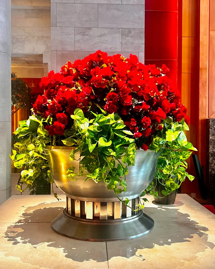 Mahir Floral Events