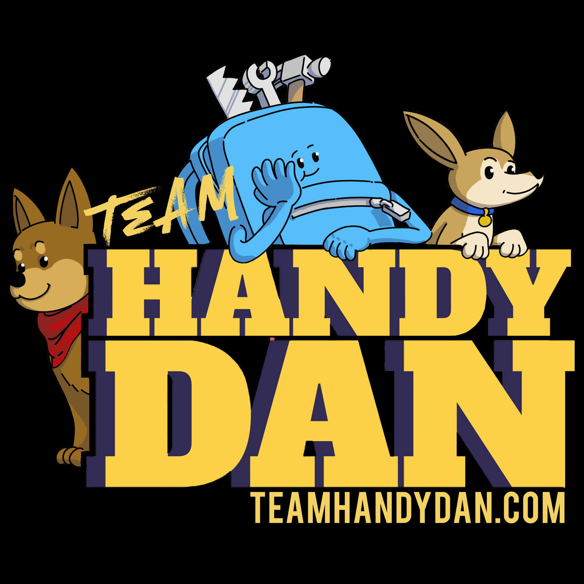 Team Handy Dan