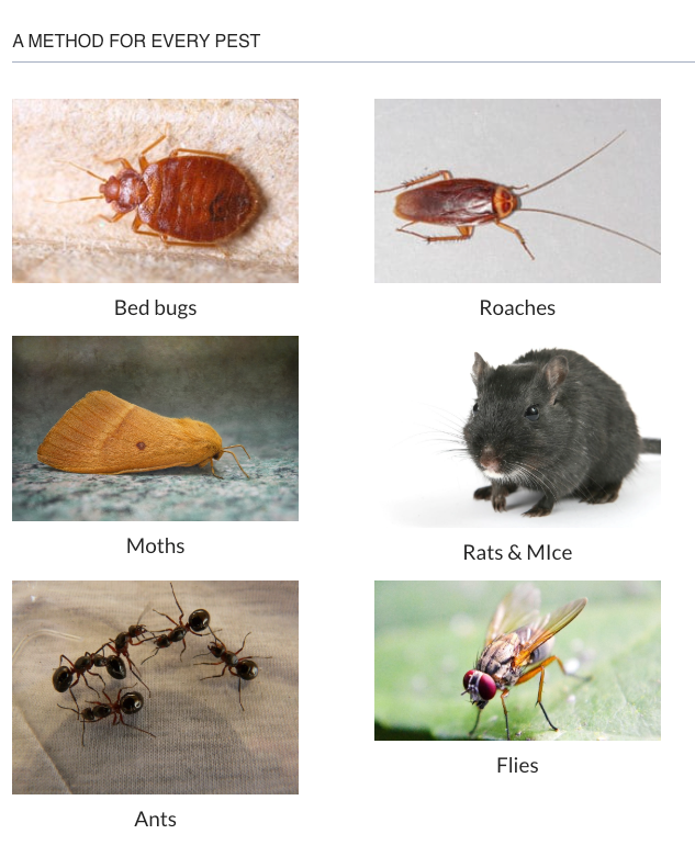 Control Exterminating