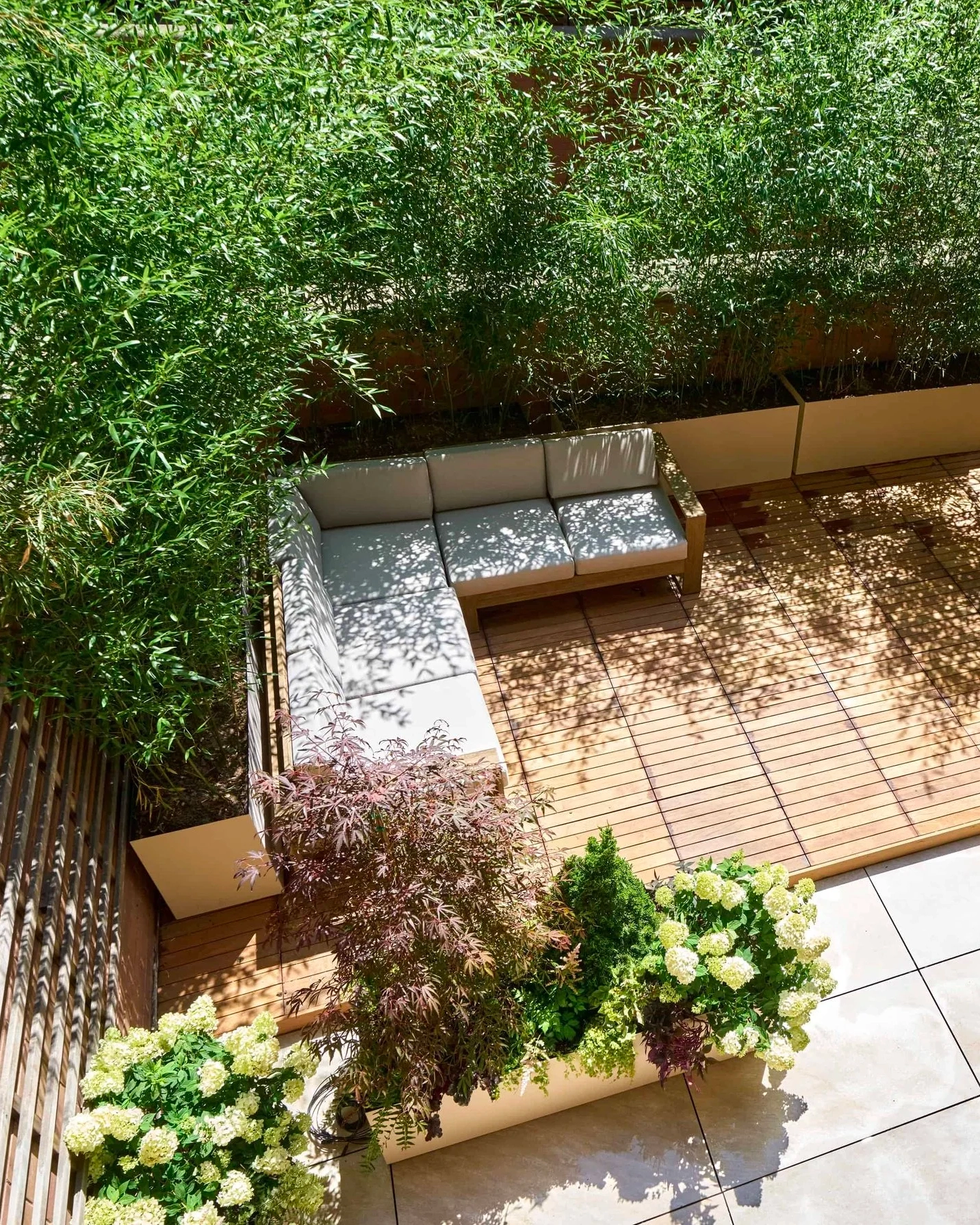 Birch and Basil Design