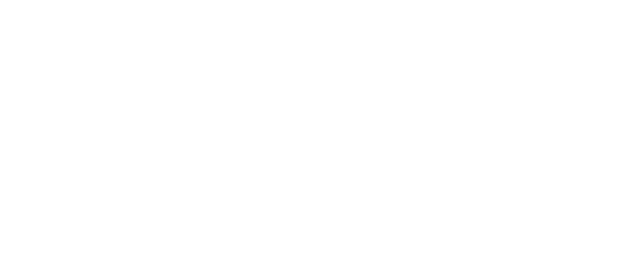 Bose logo