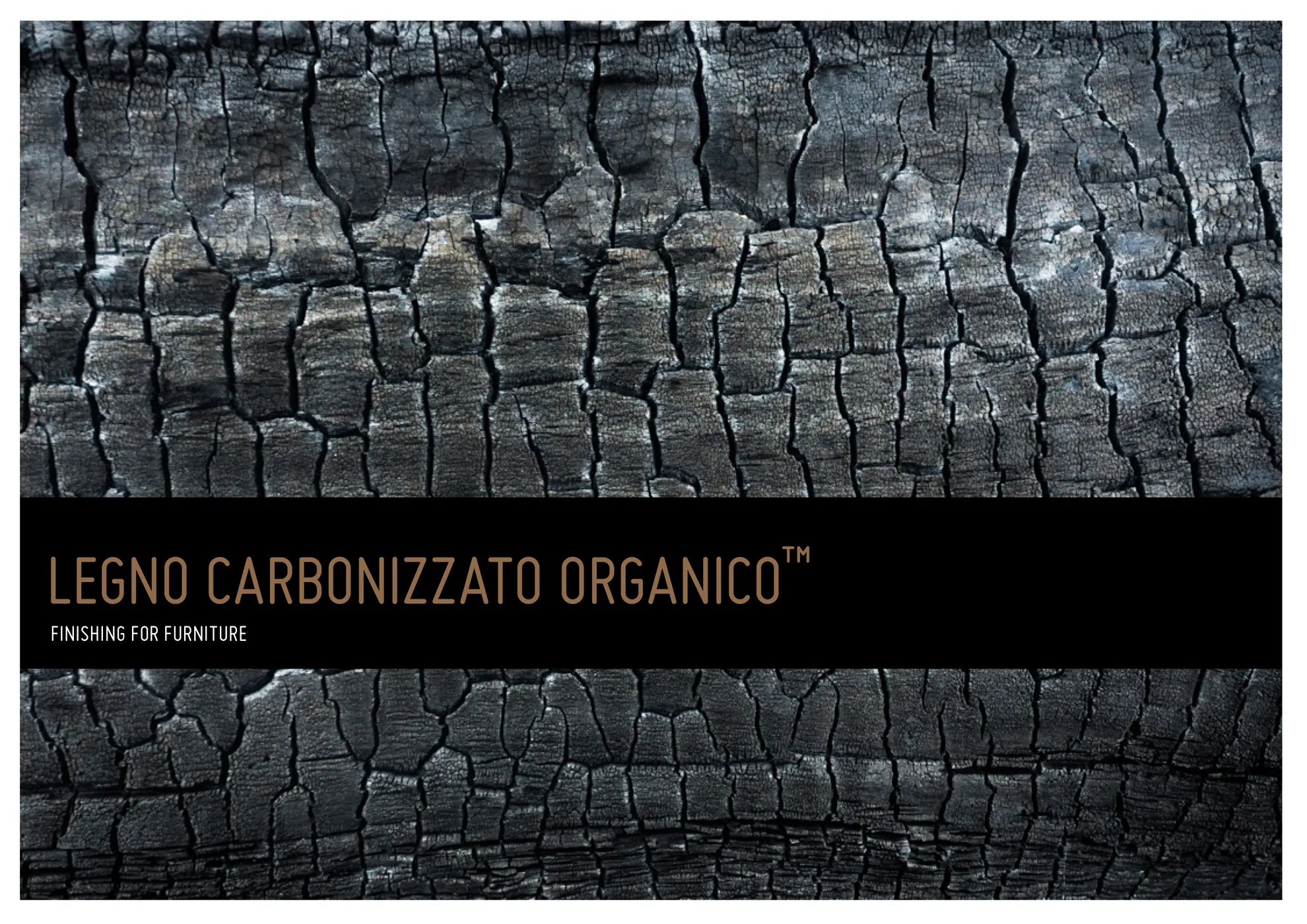 CARBONIZZATO