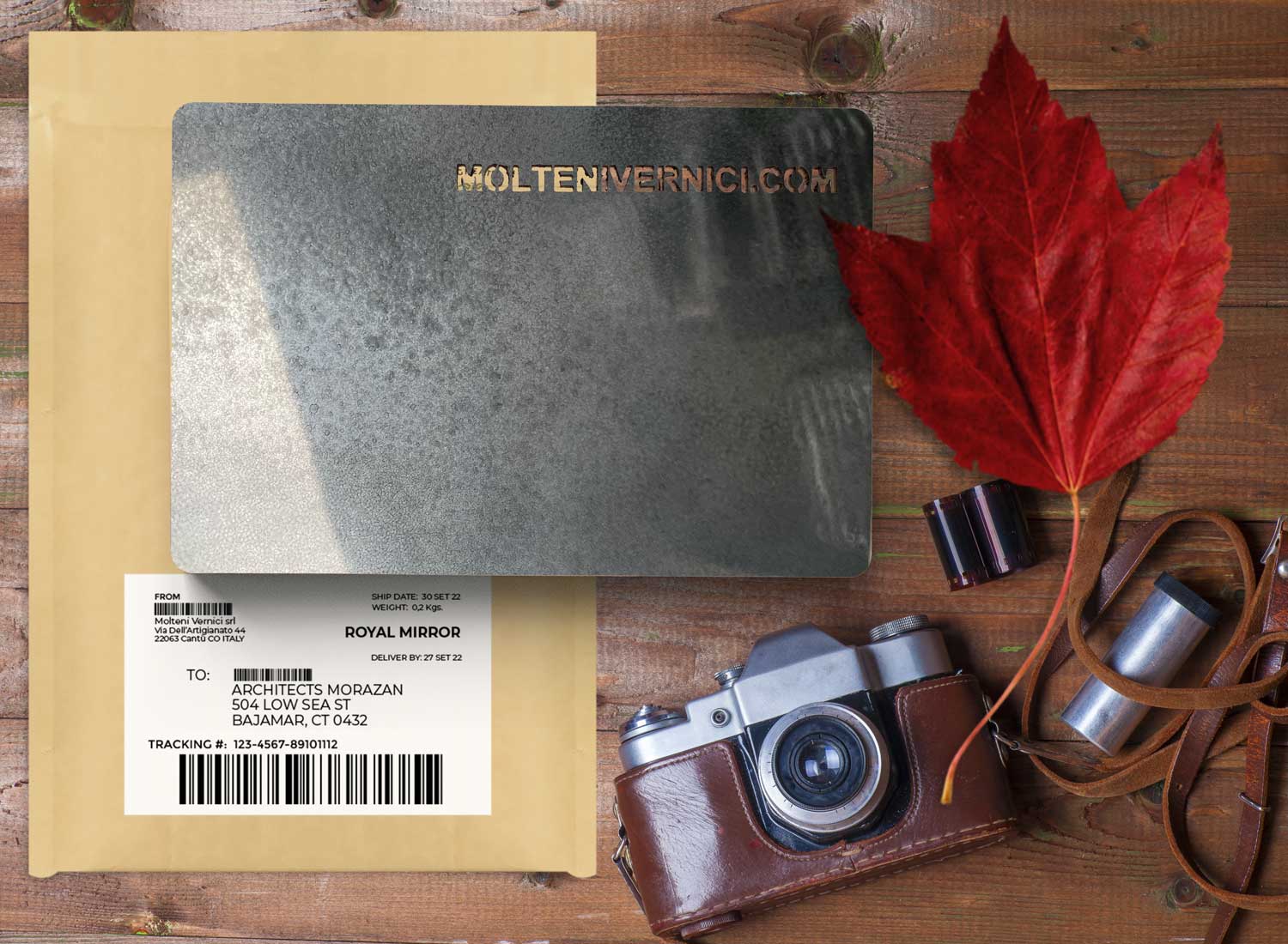 Özel MOLTENI-VERNICI boyaları, vintage kamera ve kırmızı yaprak