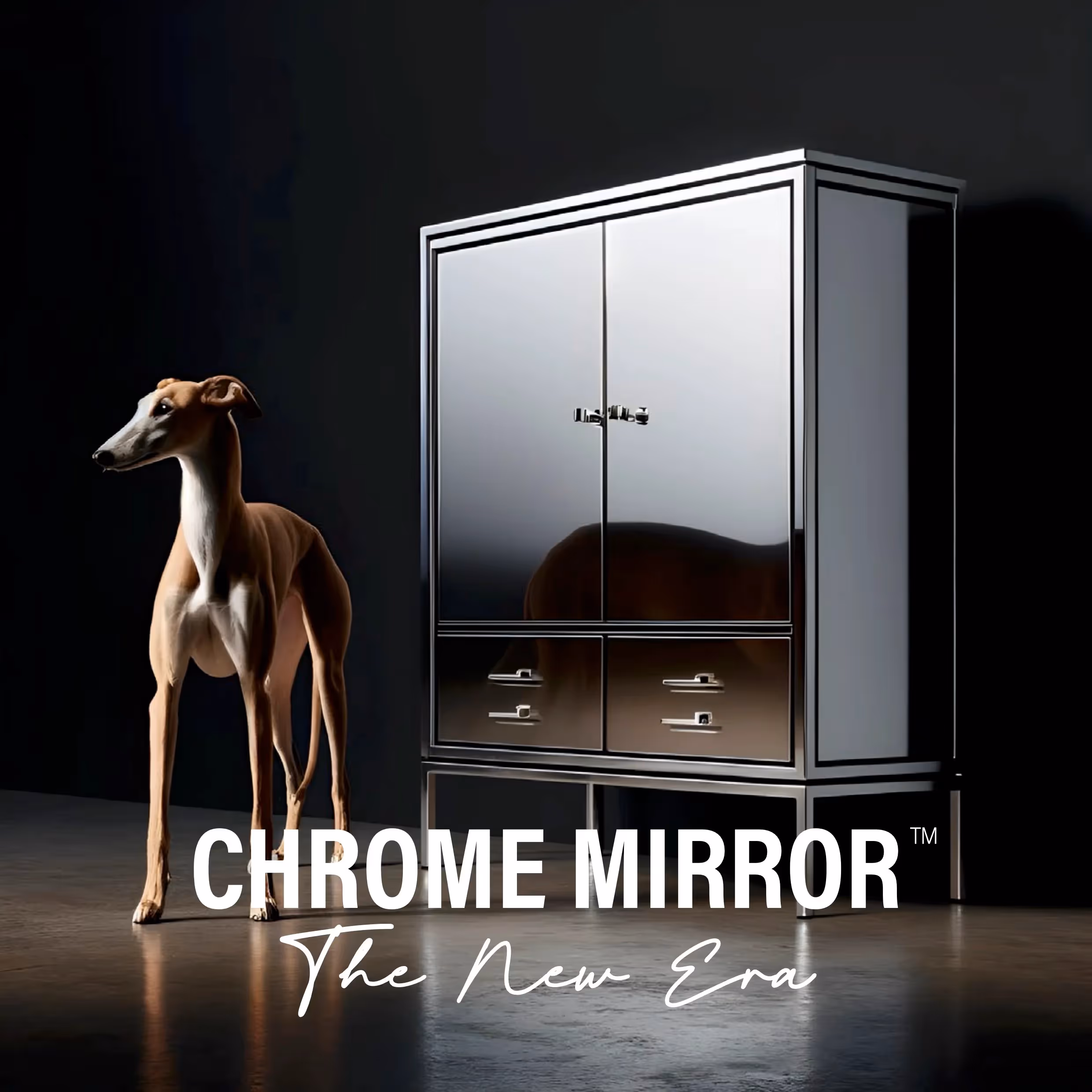 CHROME MIRROR™