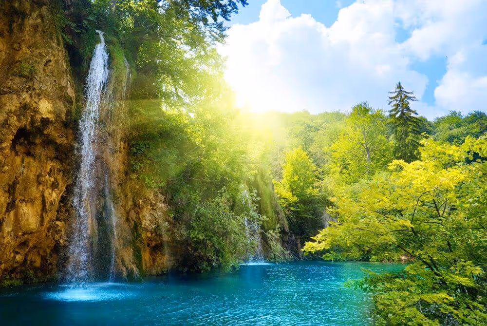 Cascata in una foresta verde con MOLTENI VERNICI come sfondo naturale