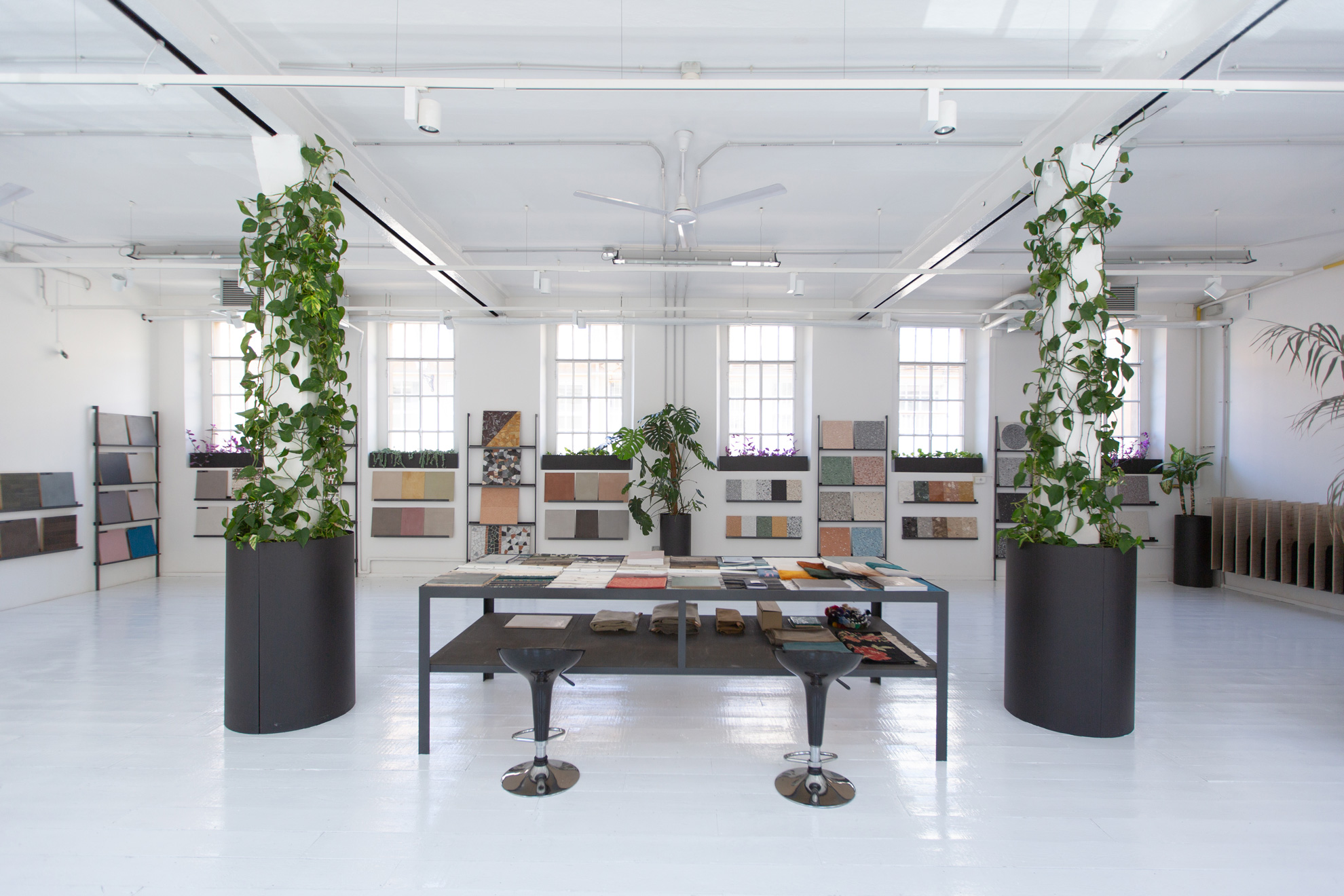 Showroom MOLTENI con campioni di vernici speciali e piante verdi