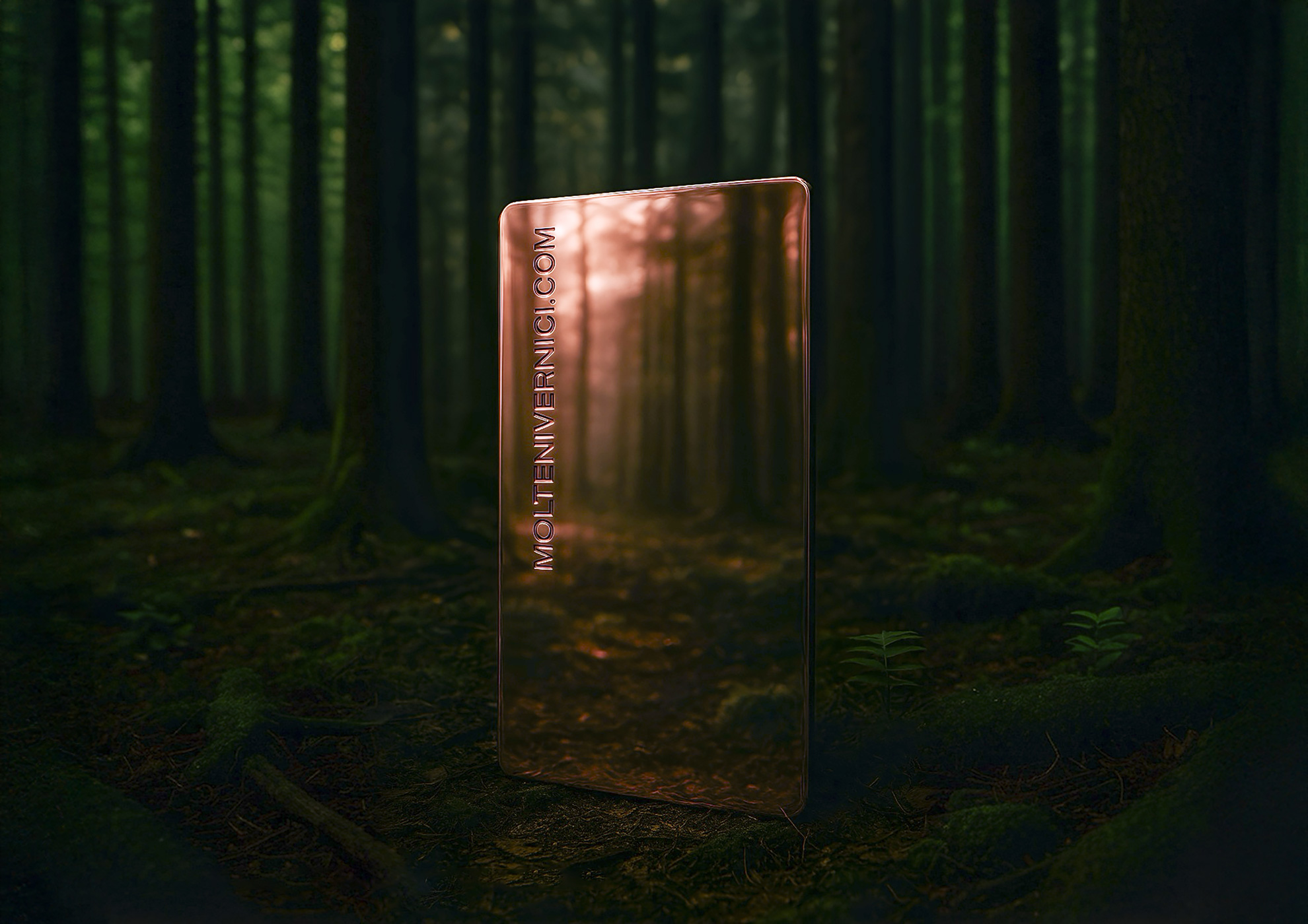 Plaque métallique cuivrée avec texte dans une forêt sombre et mystérieuse