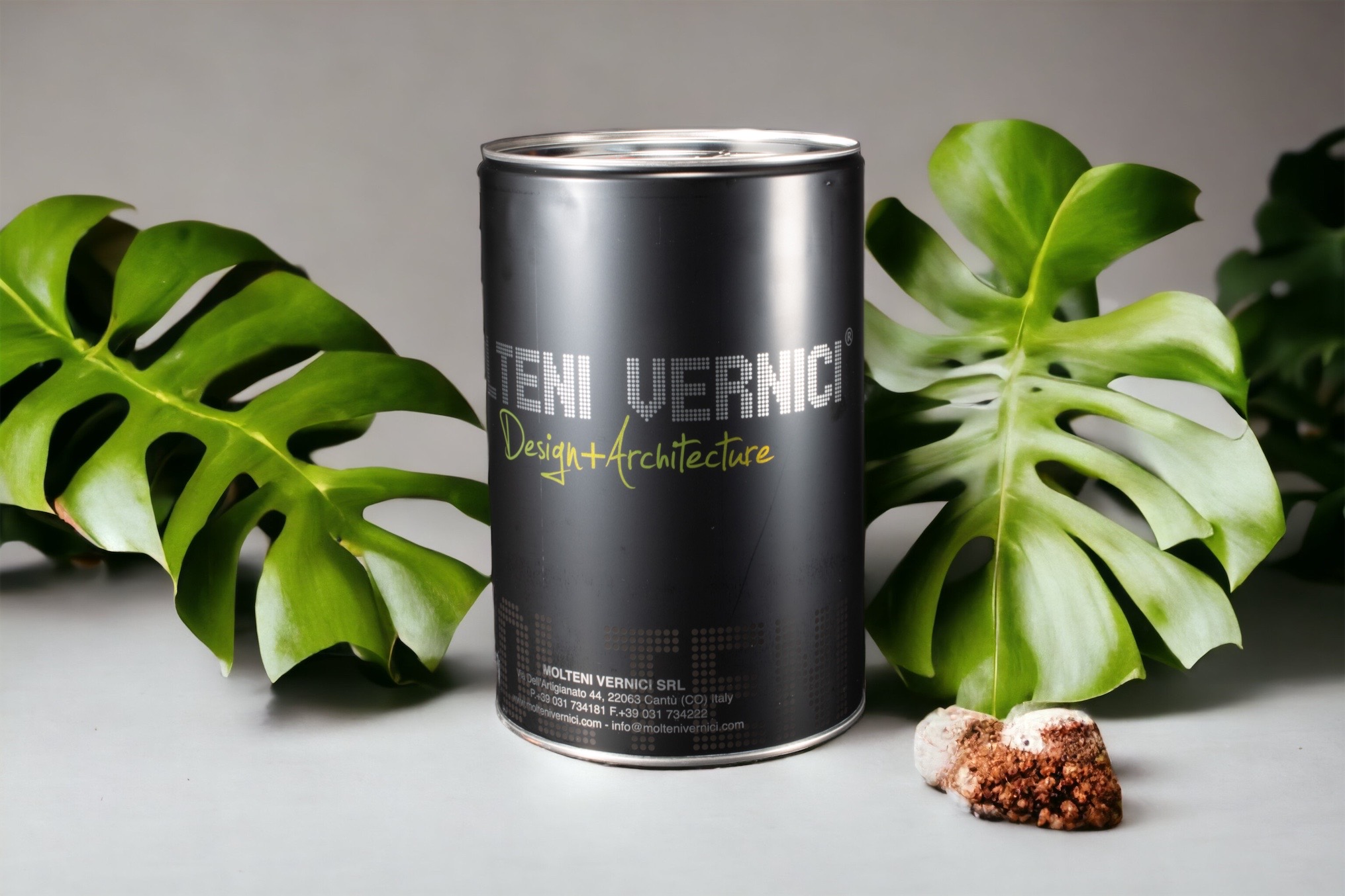 MOLTENI-VERNICI Speziallack Dose umgeben von grünen Monstera-Blättern