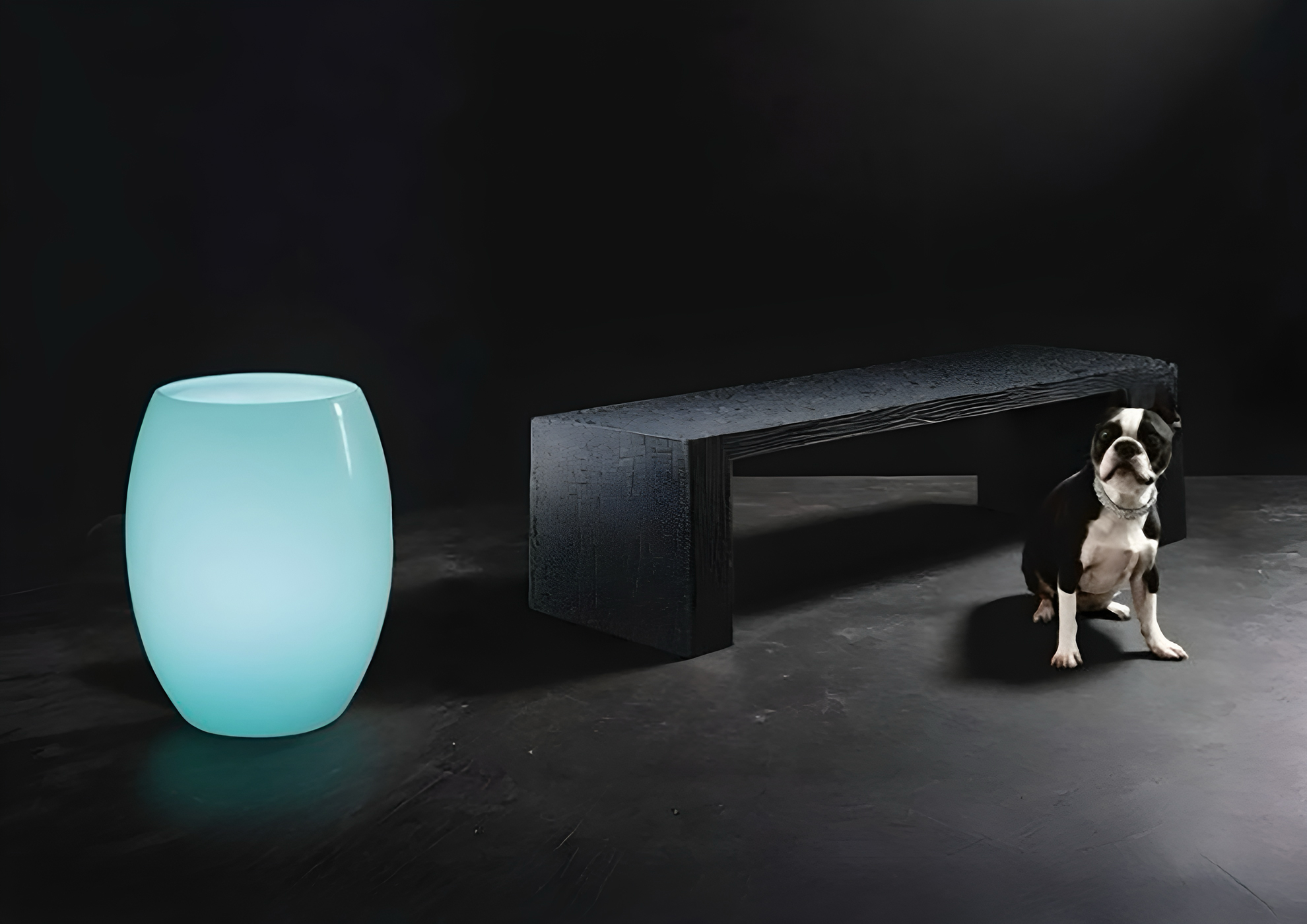 MOLTENI-VERNICI peintures spéciales : vase bleu-vert et chien sur fond sombre