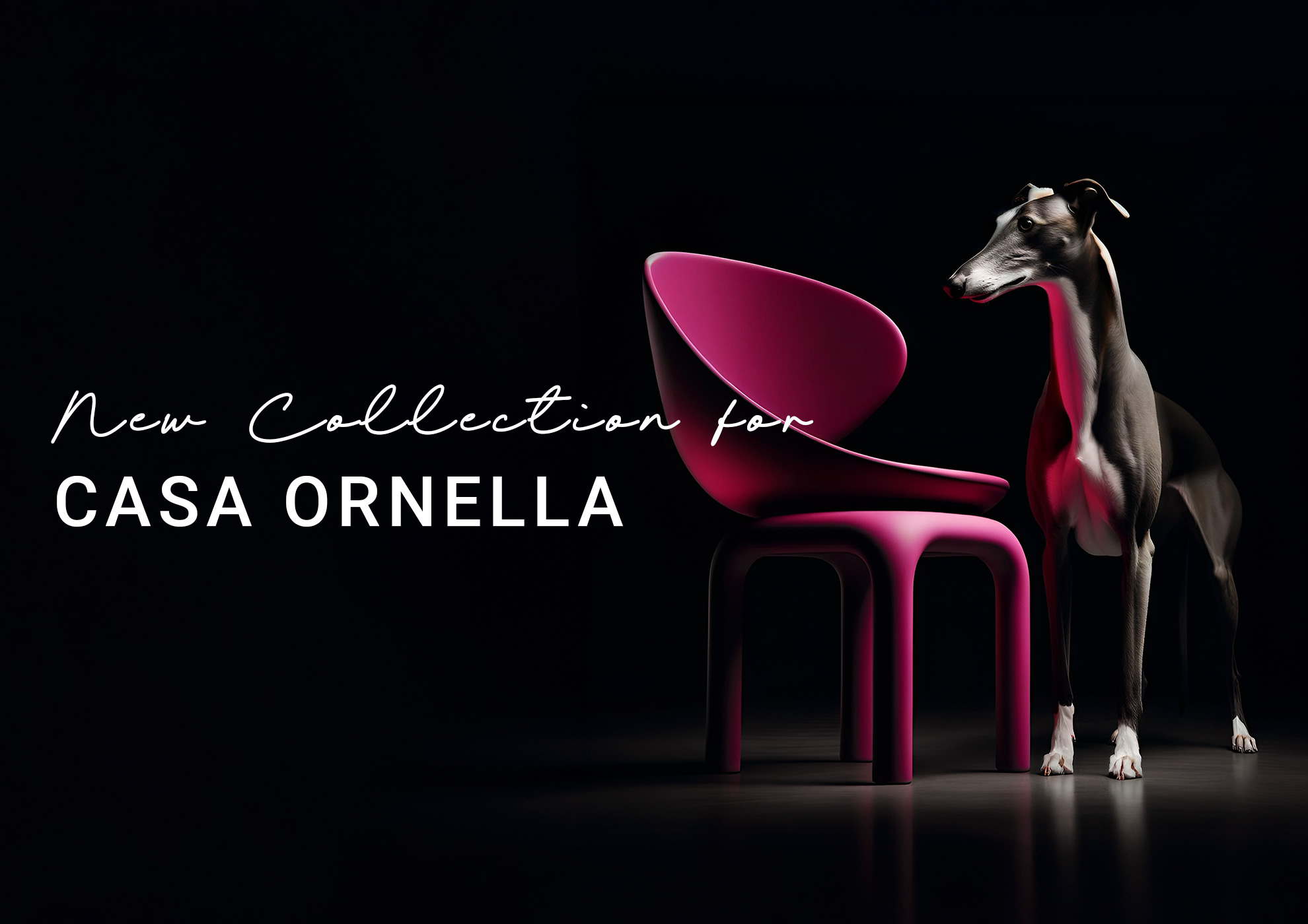 Chaise rose MOLTENI-VERNICI avec lévrier élégant pour peintures spéciales Casa Ornella