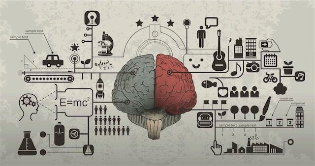 Cerebro dividido con iconos de MOLTENI-VERNICI y acabados especiales creativos
