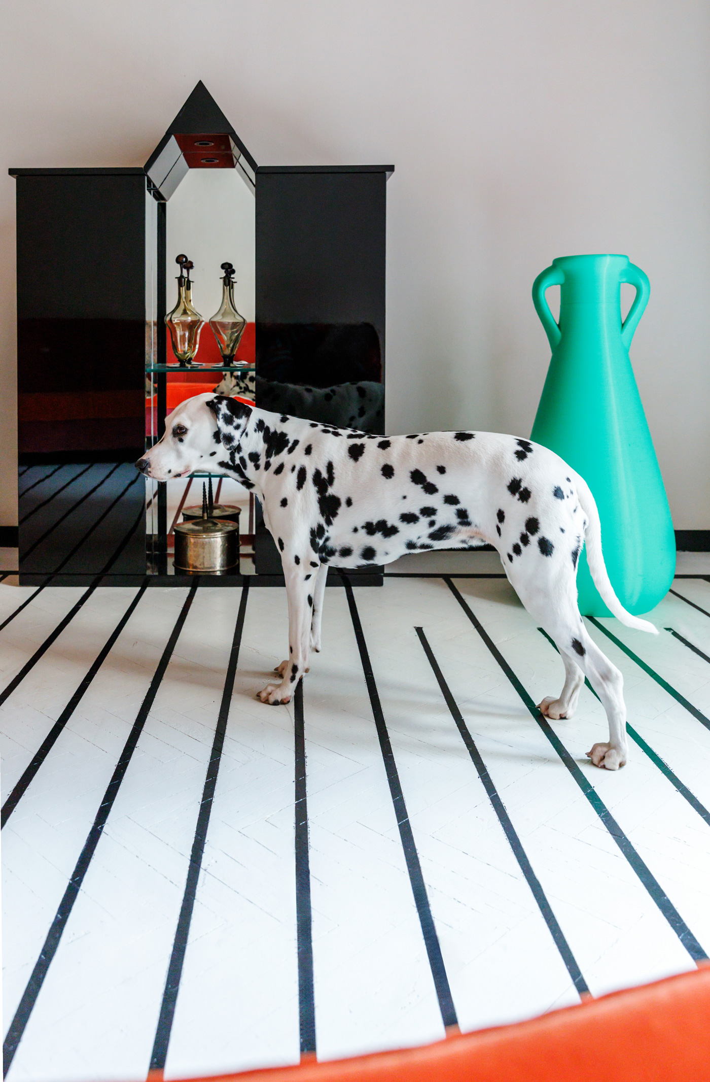 Dalmatien sur un sol à rayures, peintures spéciales MOLTENI VERNICI finitions