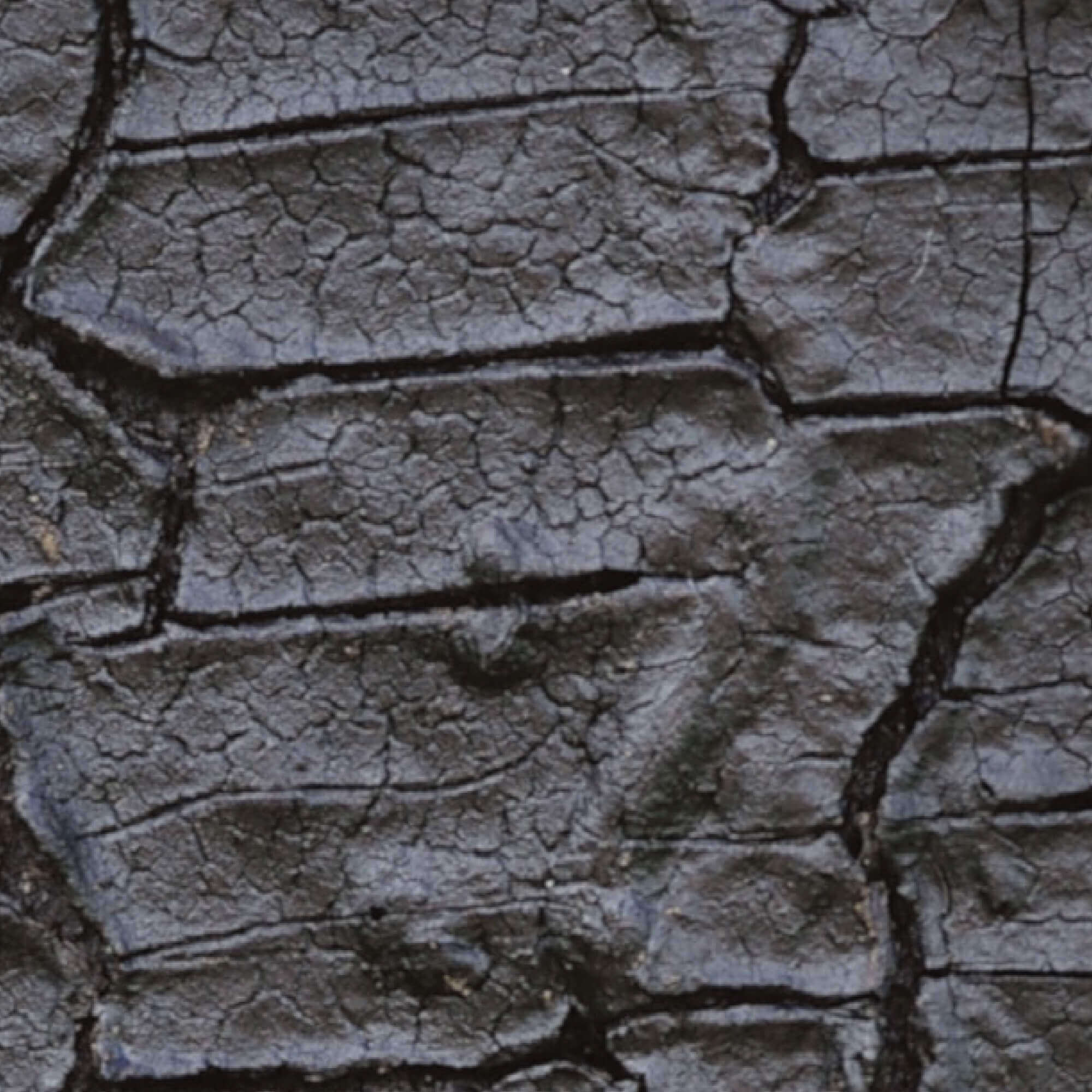 MOLTENI-VERNICI special paint effects creating cracked, textured stone surface