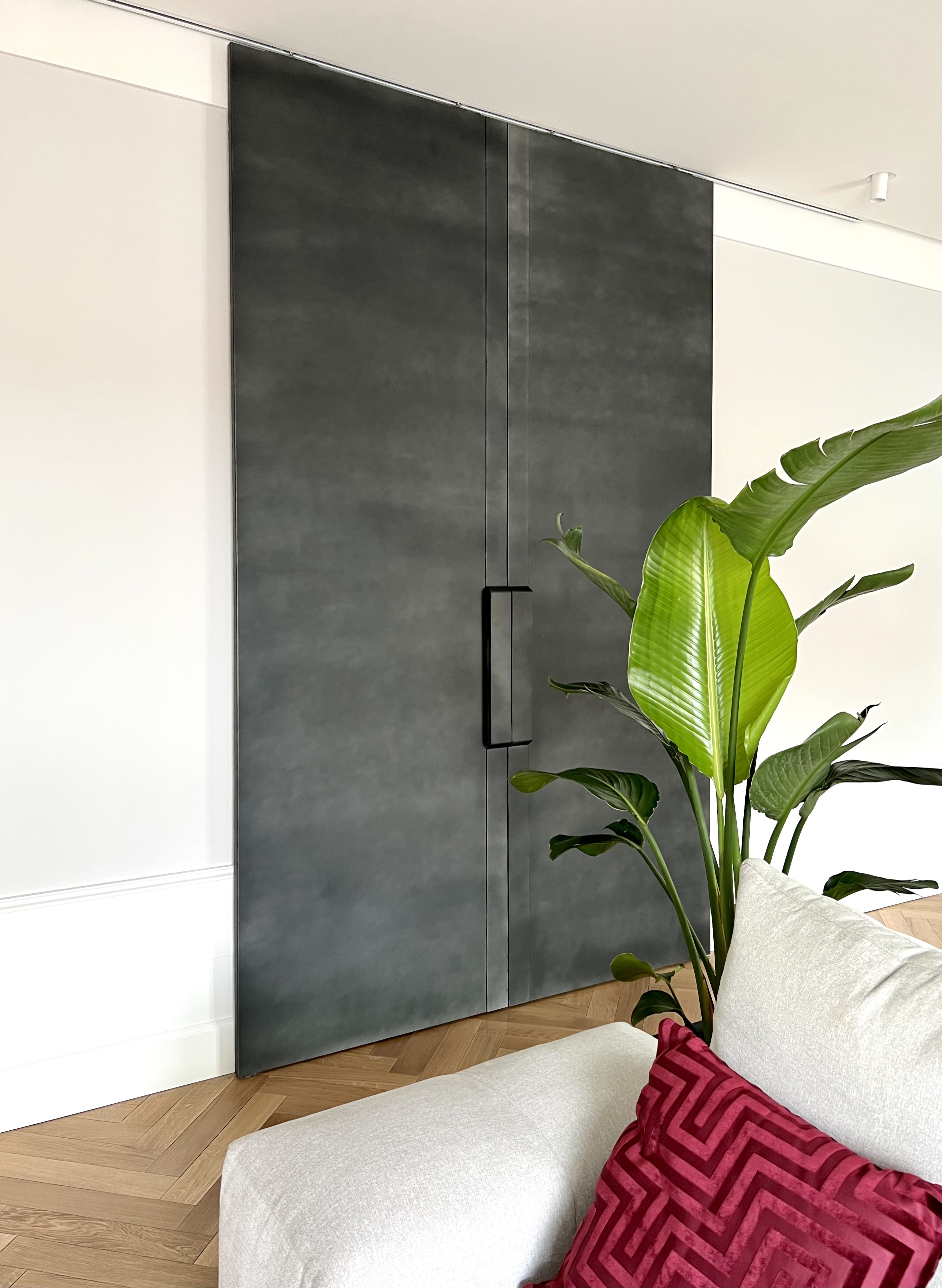 Pintura con efecto Molteni-Vernici, puerta gris moderna con planta verde