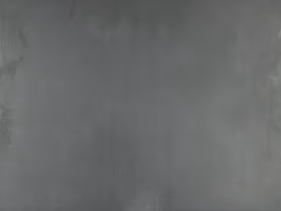 Pintura con efecto Molteni-Vernici en tonos grises texturizado suave