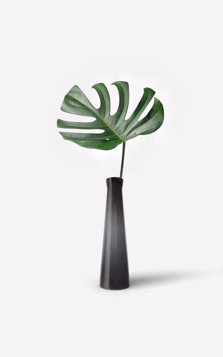 Hoja verde de Monstera con efecto Molteni-Vernici en jarrón minimalista