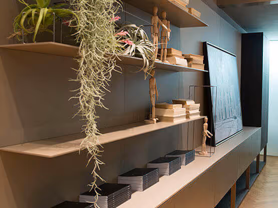 Texture con effetto MOLTENI-VERNICI, scaffali con verniciatura elegante e pianta