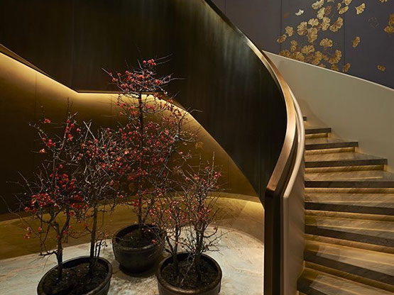 Escalier design MOLTENI-VERNICI avec vernis, à effet doré et arbuste rouge