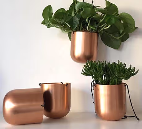 Vasi in rame MOLTENI-VERNICI con piante verdi, effetto rame metallico brillante