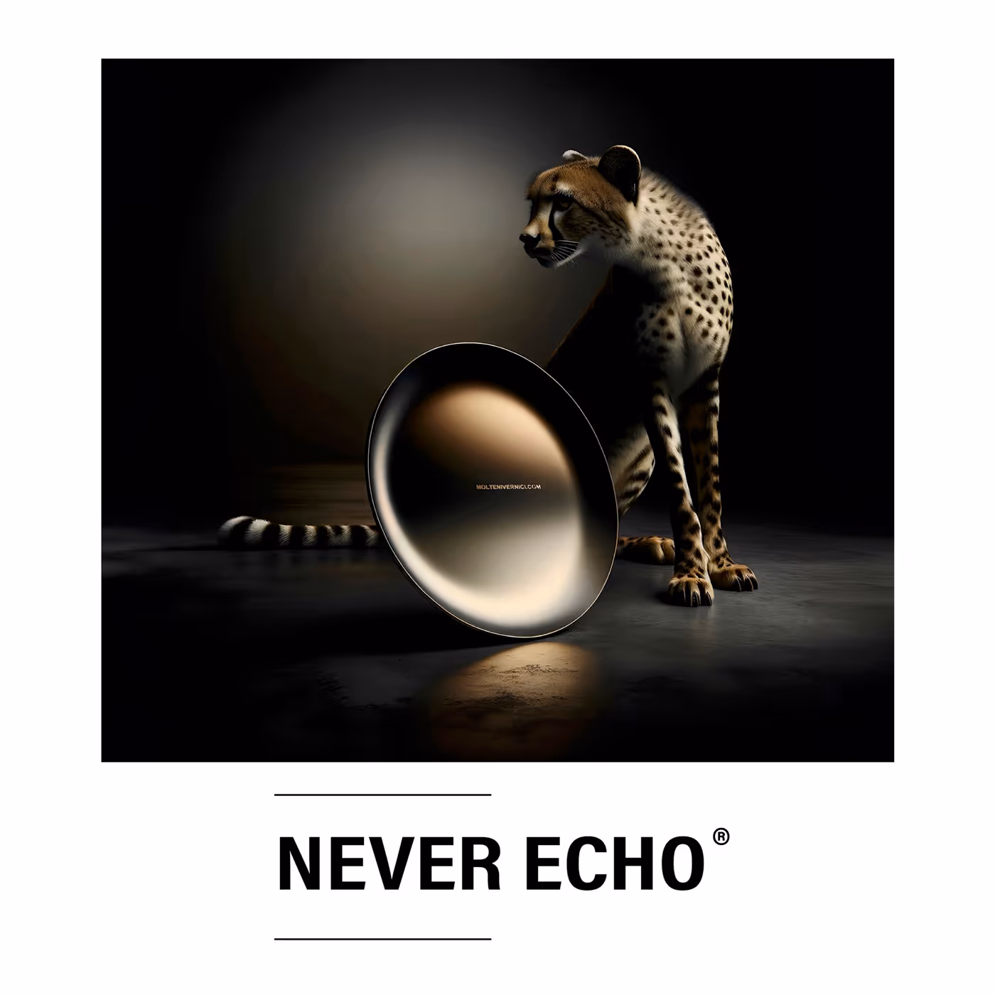 NEVER ECHO®