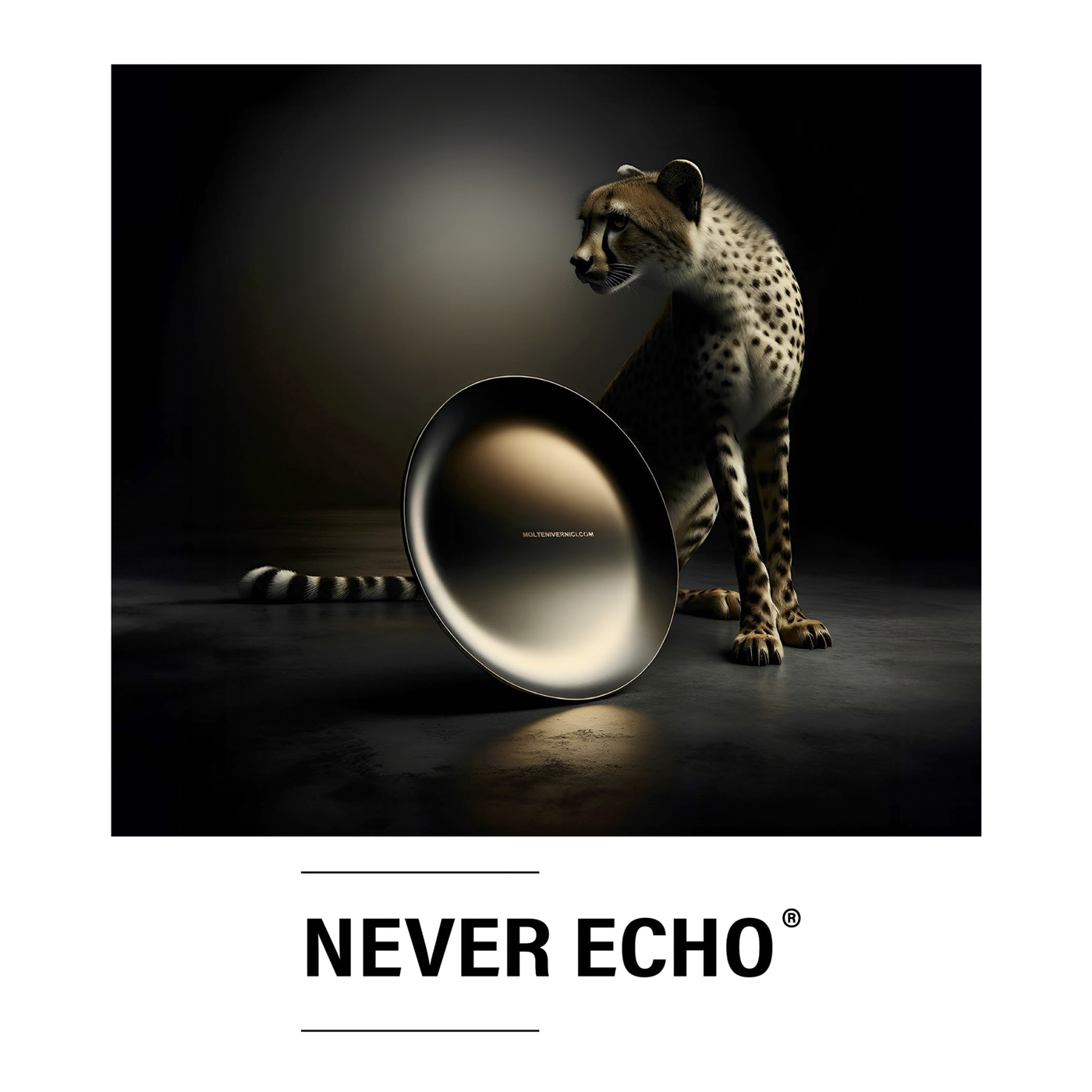 NEVER ECHO® 