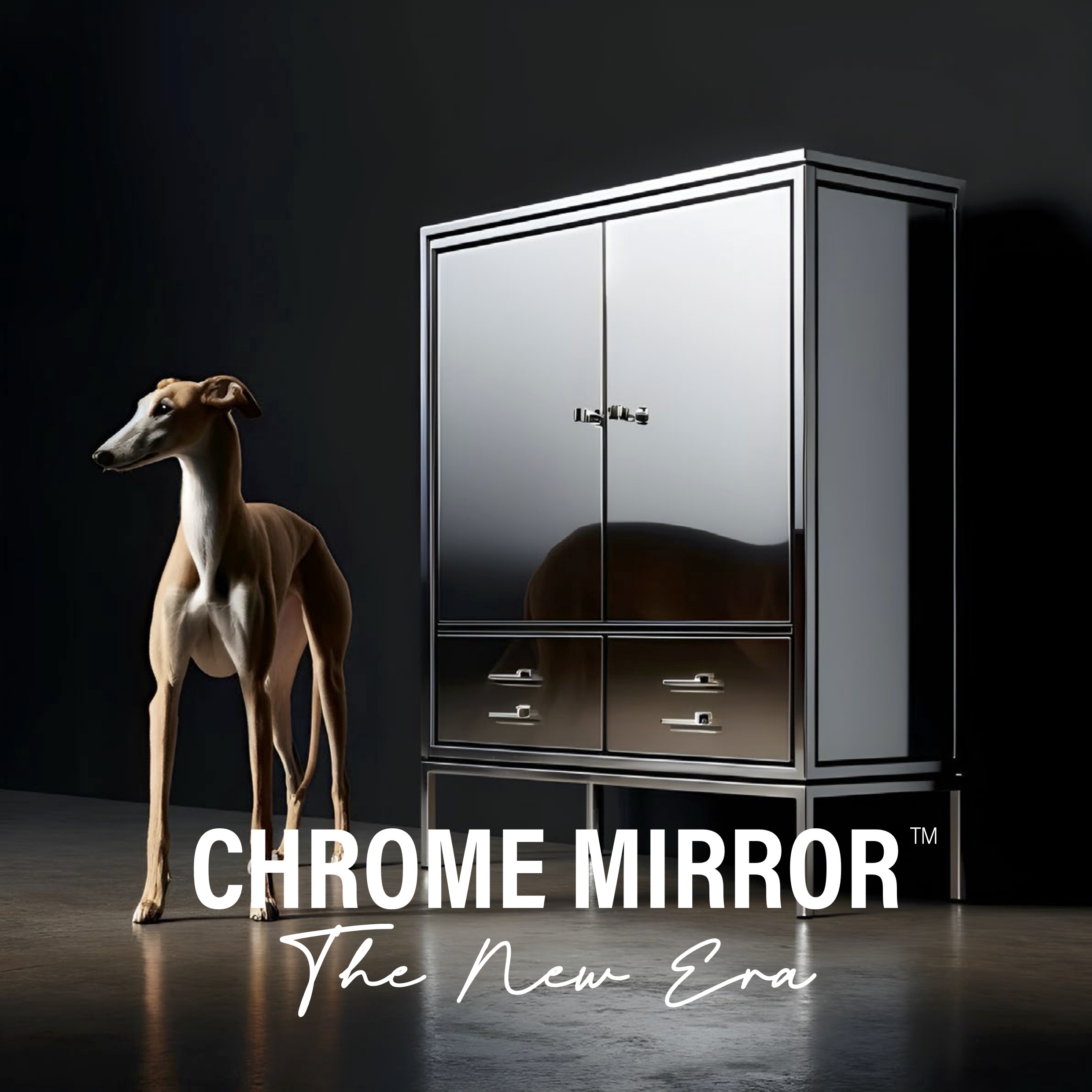 CHROME MIRROR™