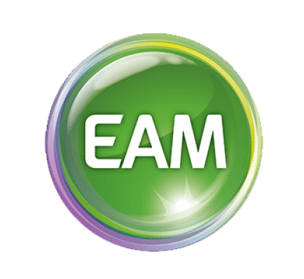 Logo EAM