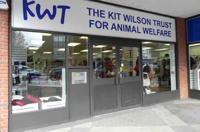 Storefront of Kit Wilson Trust for Animal Welfare. Large glass windows display various items like bags and clothes inside. The sign above in blue and white reads KWT: THE KIT WILSON TRUST FOR ANIMAL WELFARE.