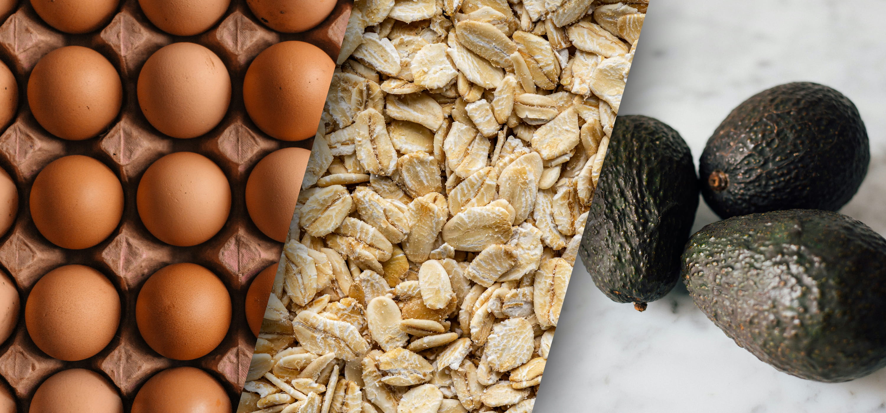 Proteine, Kohlenhydrate und Fette – was braucht der Körper wirklich?