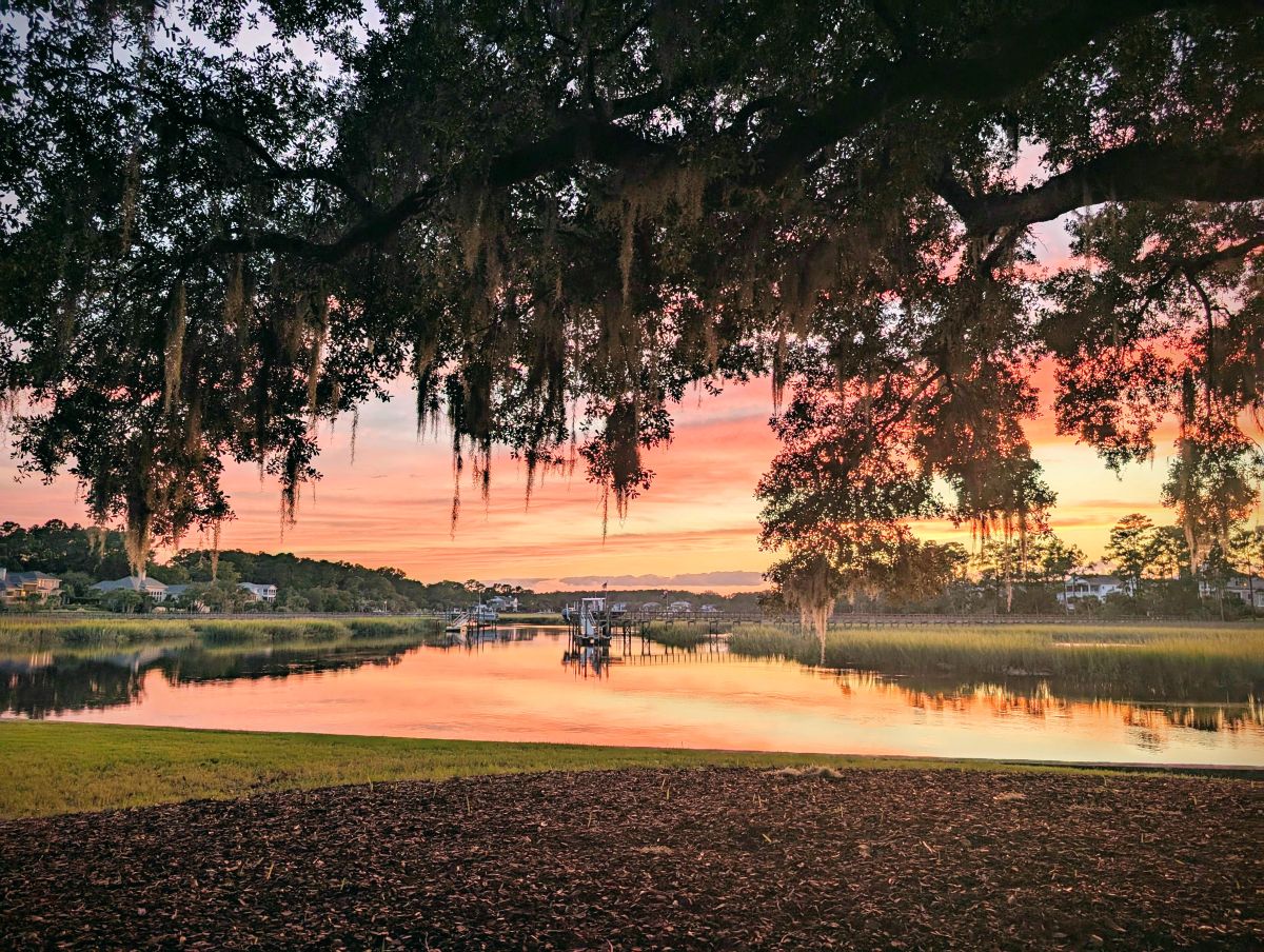 The Charleston Data Drop: What 376 Pending Sales Tell Us About May 2026