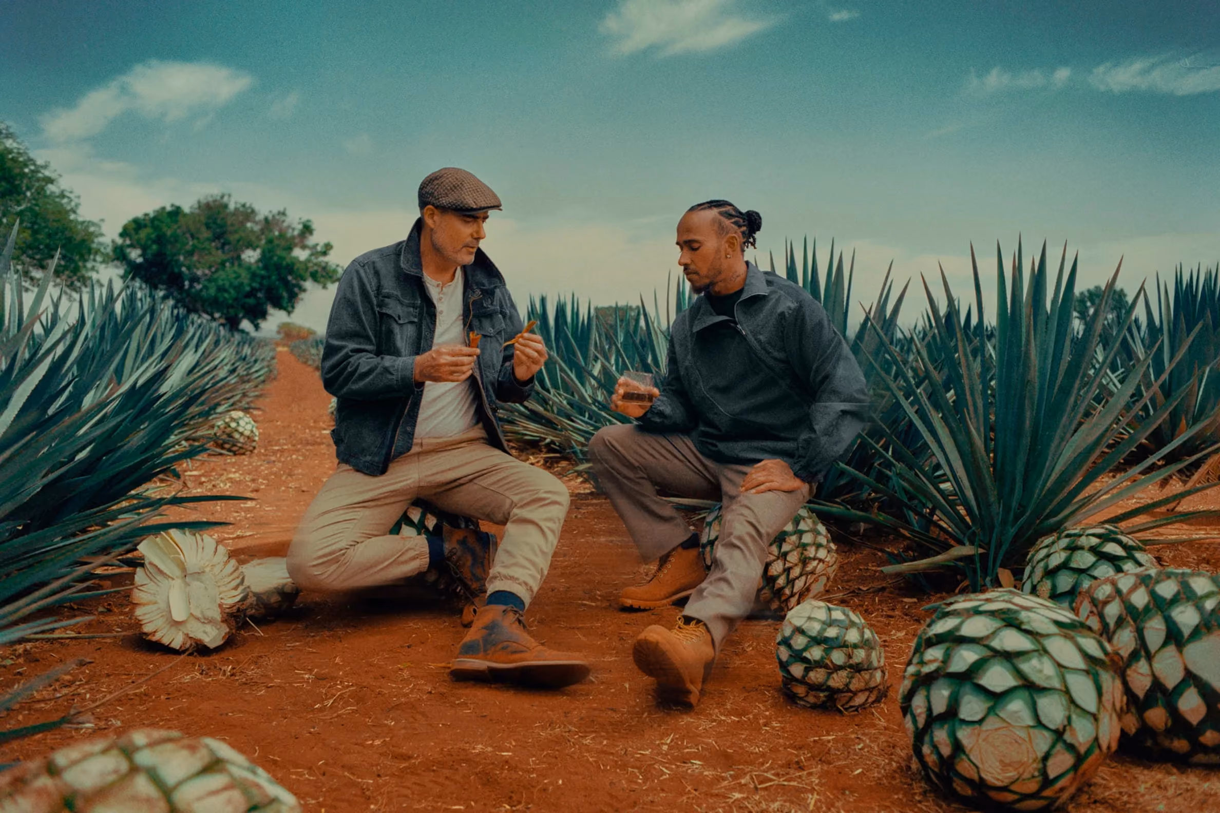 Two men crouching among harvested agave plants in a field, discussing the brand's story.