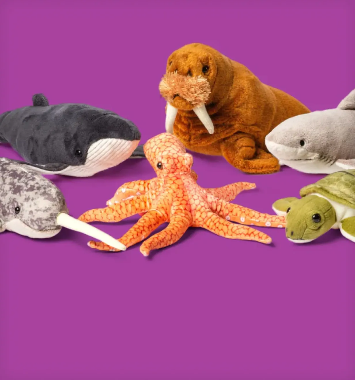 Plush stuffed animals including a whale, walrus, octopus, and turtle displayed on a purple background.
