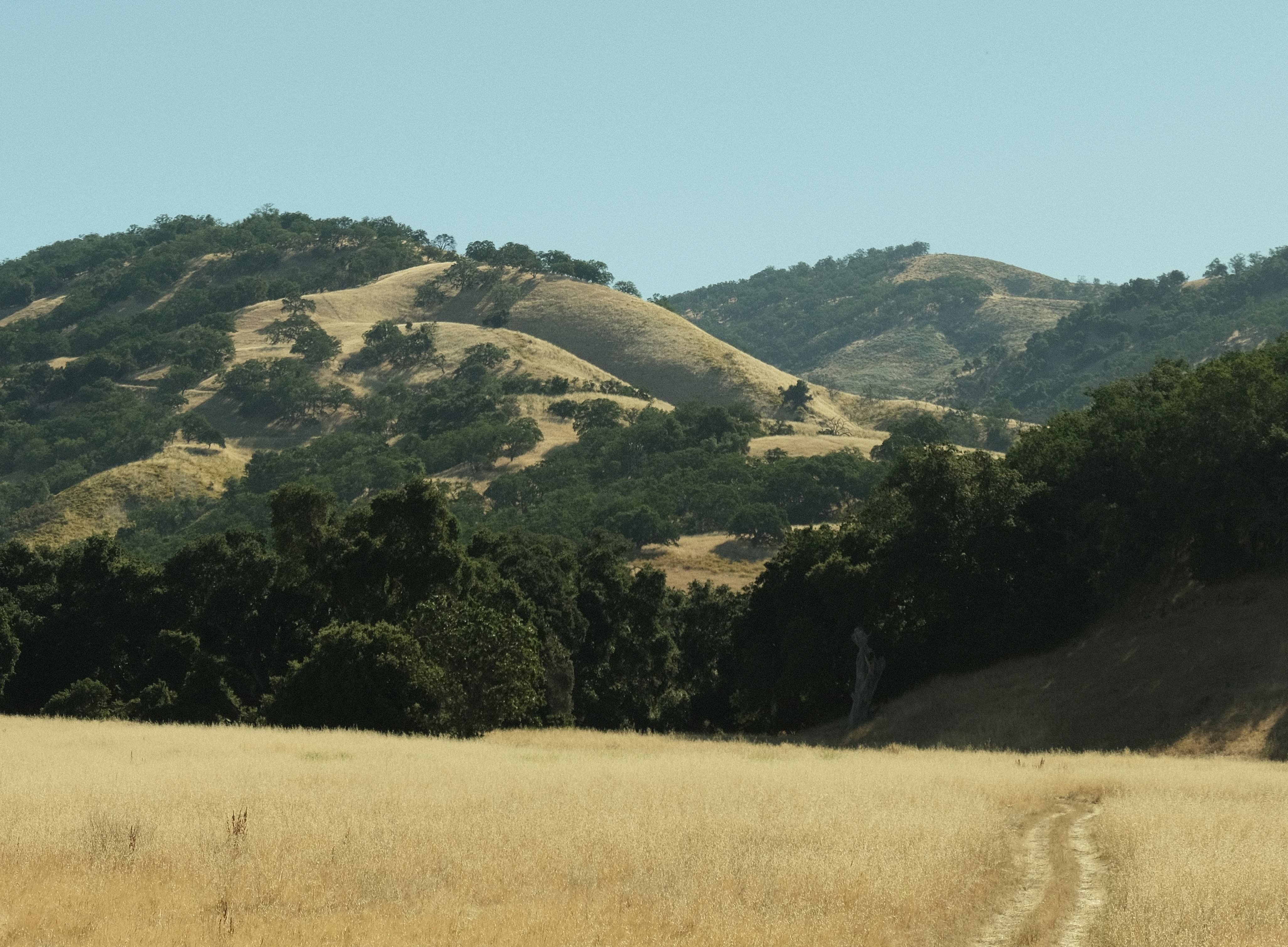 1833 Ranch, Carmel Valley, CA