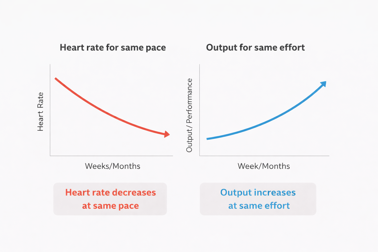 How to Measure Progress in Zone 2 Training