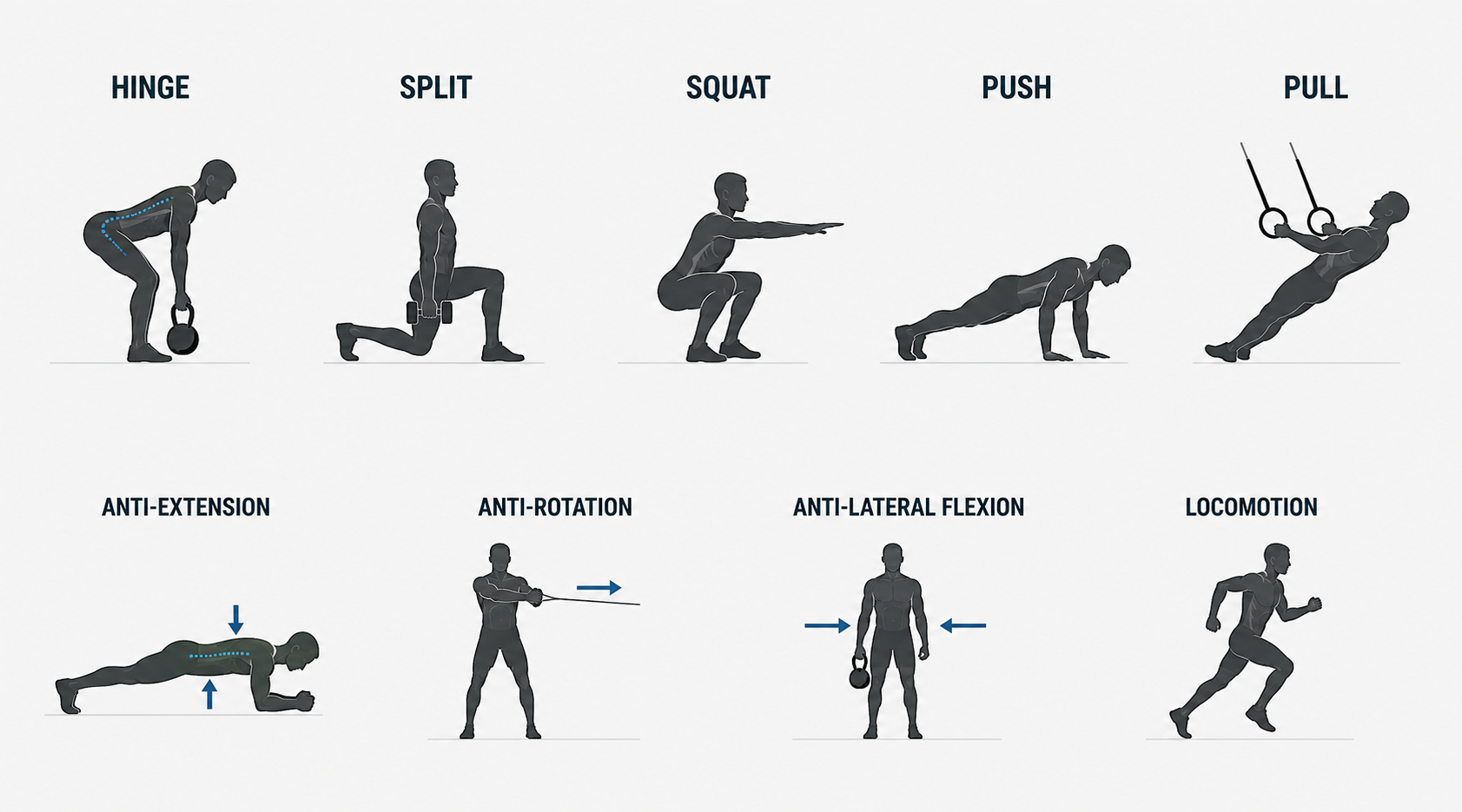 Why We Train Every Movement Pattern and Why It Matters