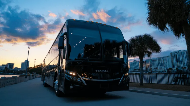 Black bus in Miami next to palm trees with sunset.