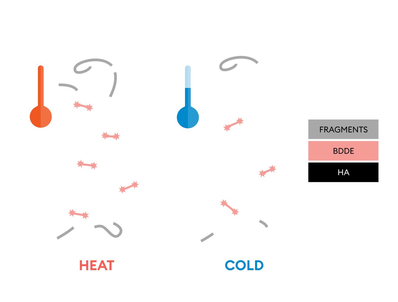 Evolysse is made with innovative Cold-X™ Technology, which represents an advancement in the manufacturing of injectable hyaluronic acid gels.