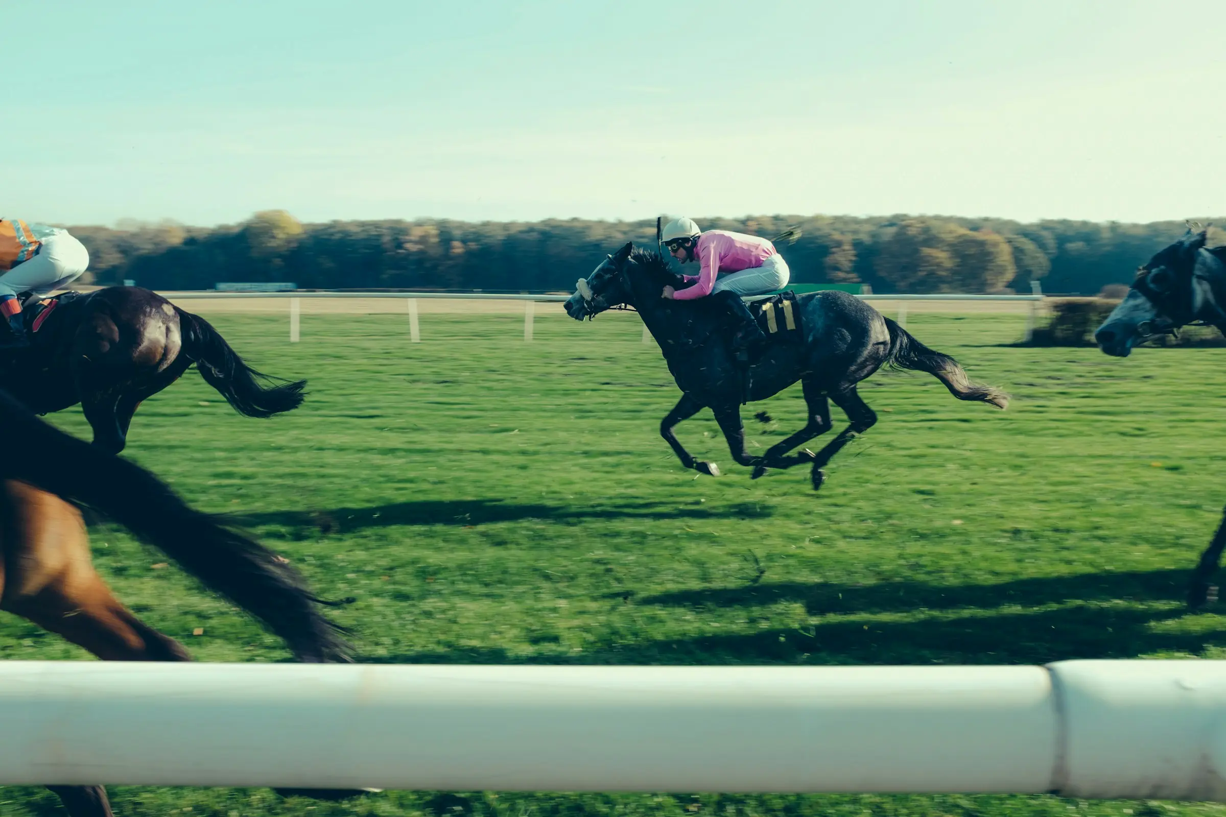 Equine Industry Tax