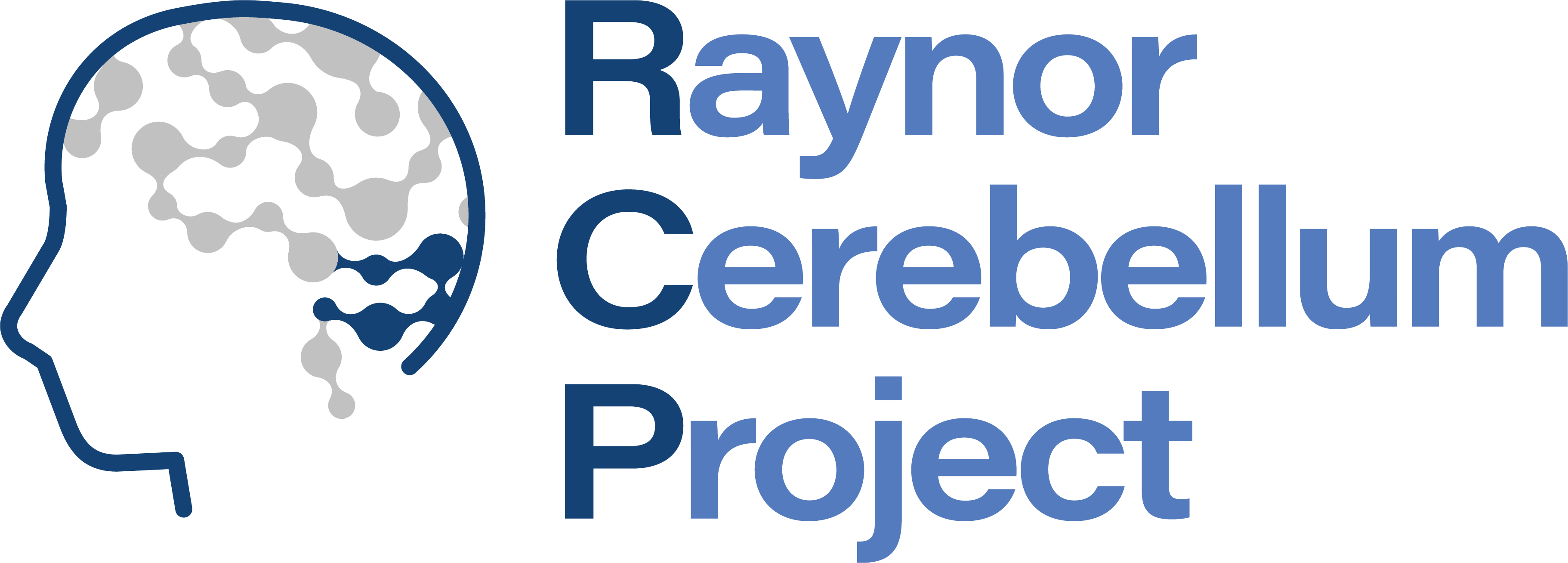 Raynor Cerebellum Project 