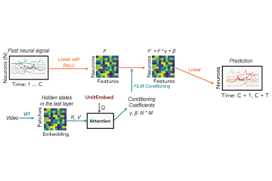 Schematic of the POCO model architecture combining a univariate MLP forecaster and a population encoder that conditions predictions using attention and FiLM conditioning.