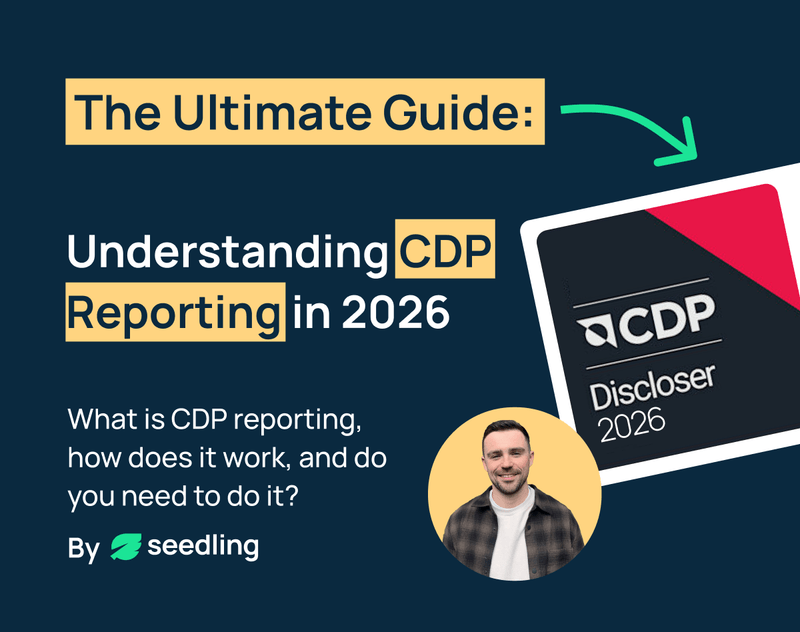 The Ultimate Guide to CDP Reporting in 2026 | Seedling