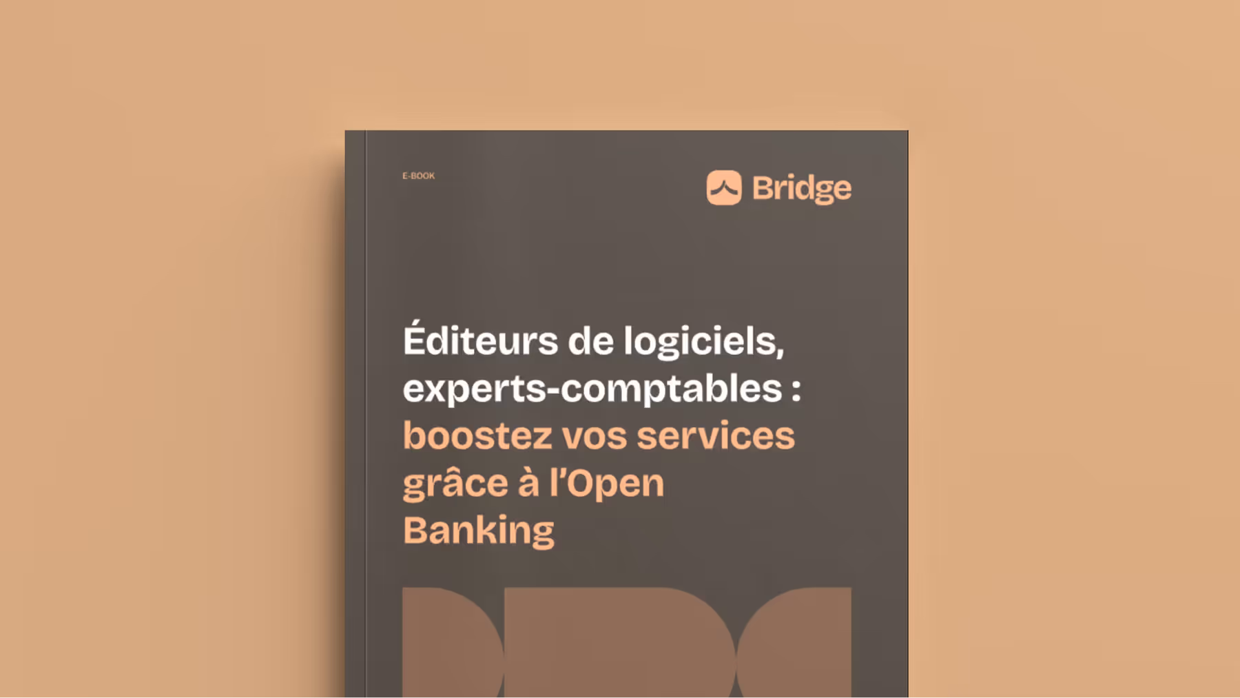 Éditeurs de logiciels, experts-comptables : boostez vos services grâce à l’Open Banking