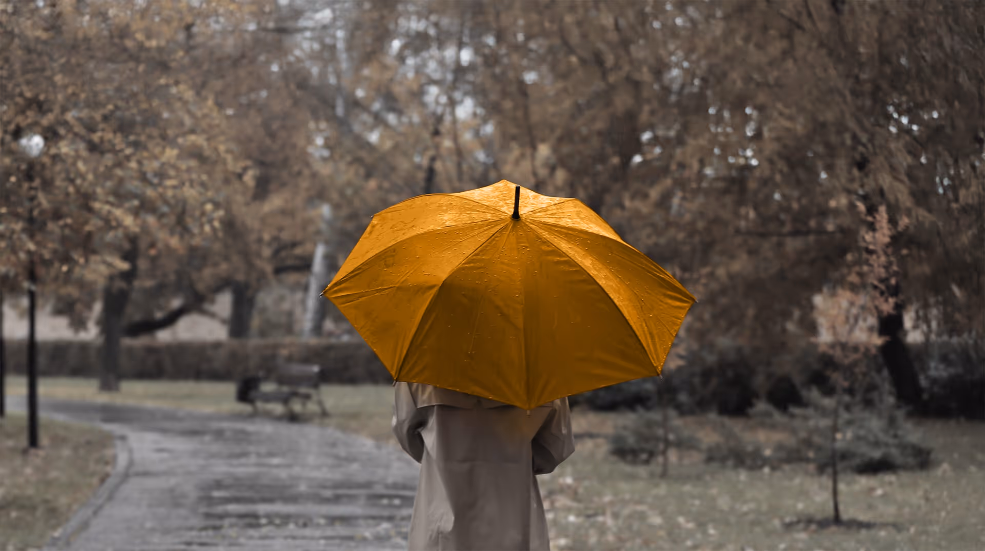 Person wearing a beige coat holding a yellow umbrella walking on a wet park pathway surrounded by trees.