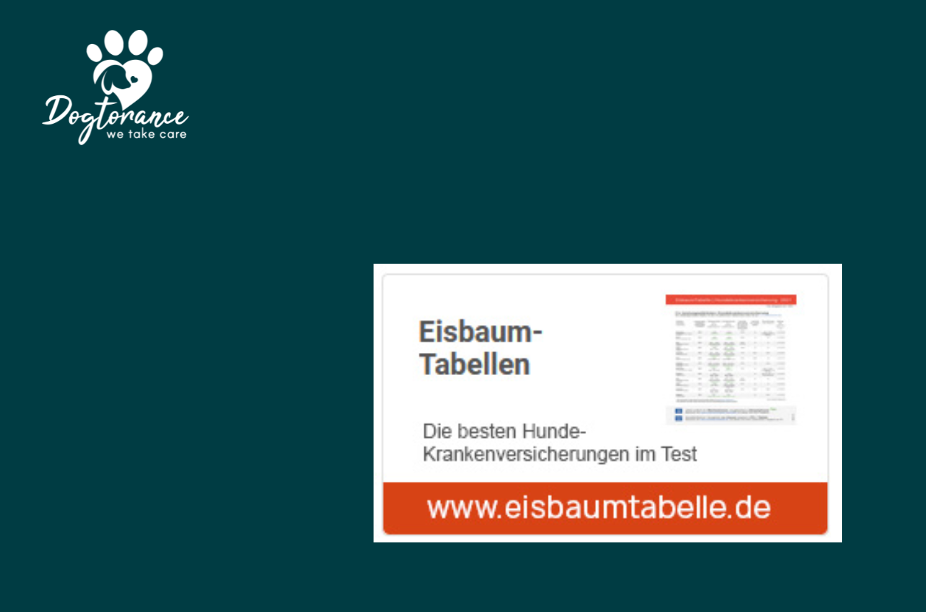 Eisbaumtabelle im Check: Wie aussagekräftig ist die 5-Jahres-Realwertmethode wirklich?