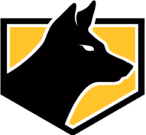 Wild Dog Athletics logo.