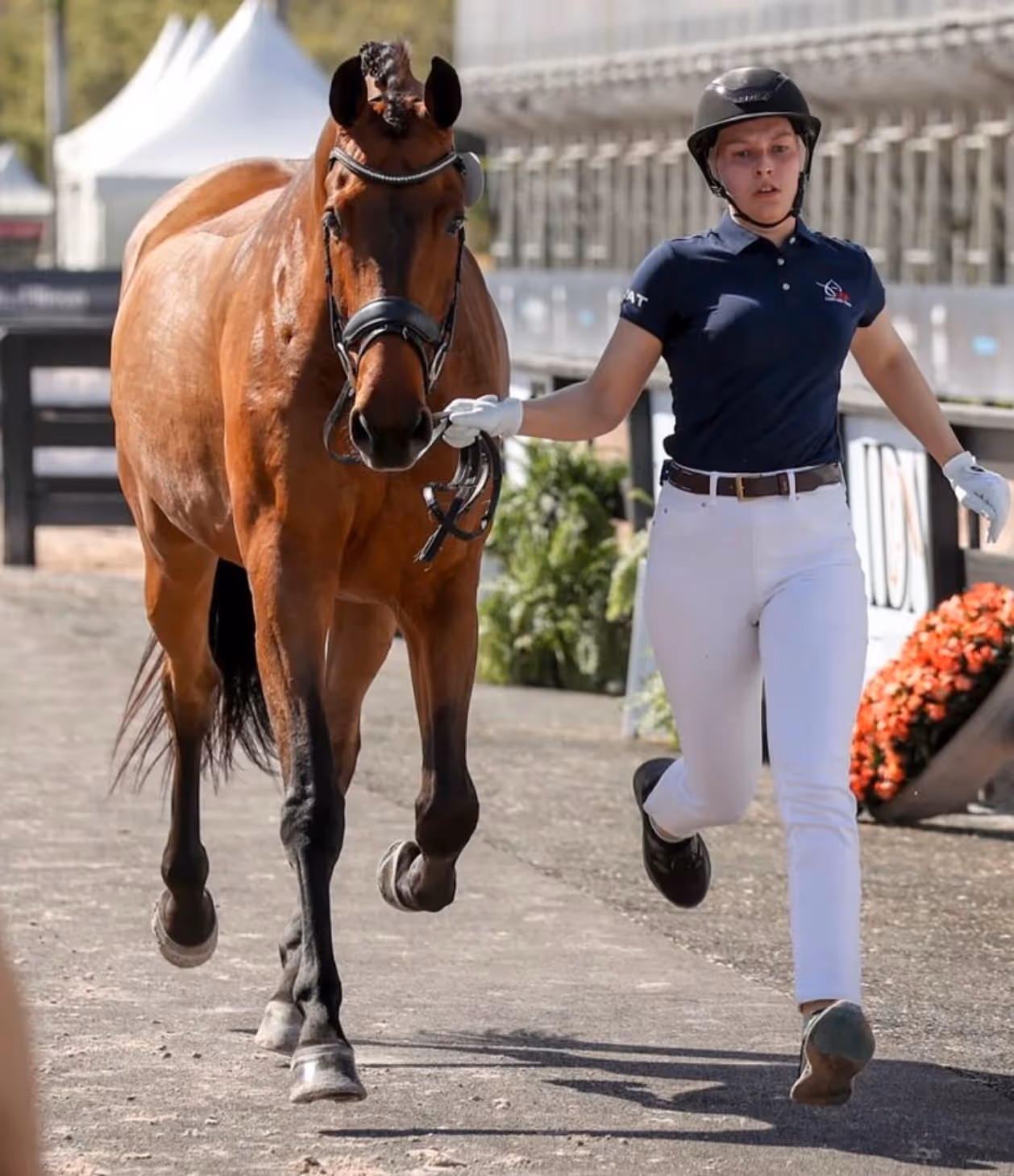 Compound Lifts for Equestrians