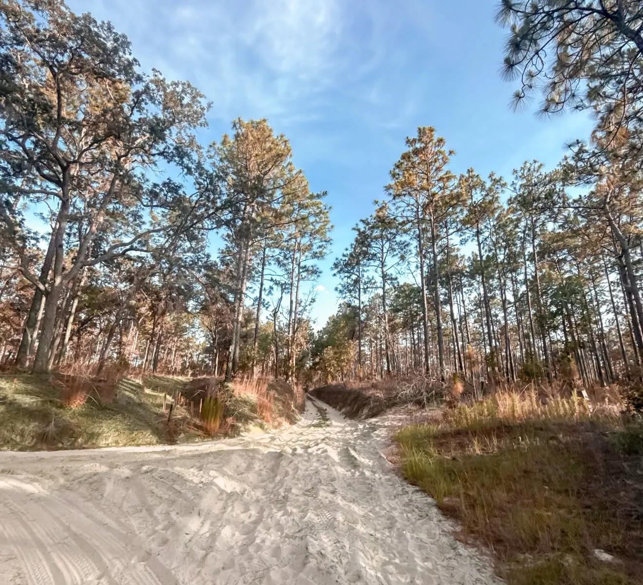 How I finished a 22 mile trail race without feeling wrecked the next day